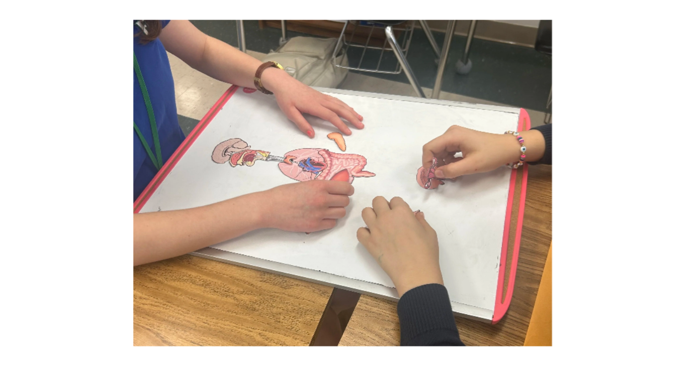 Screenshot 2026-01-25 132405.png