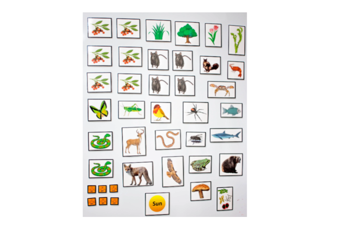 Module 9 teacher 3.png