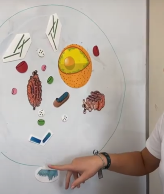 Module 2 Student Demo.png