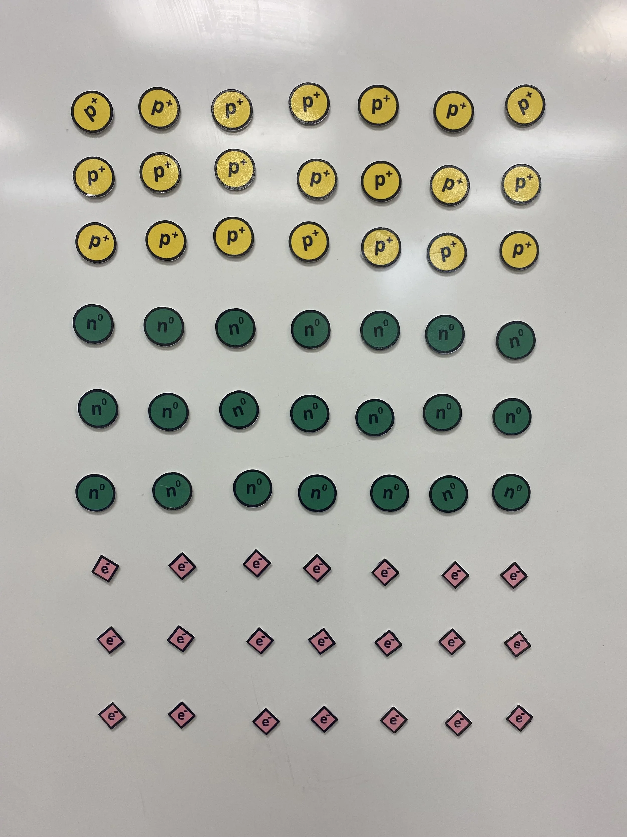 Biology+Magnets+Module+0 (1).webp