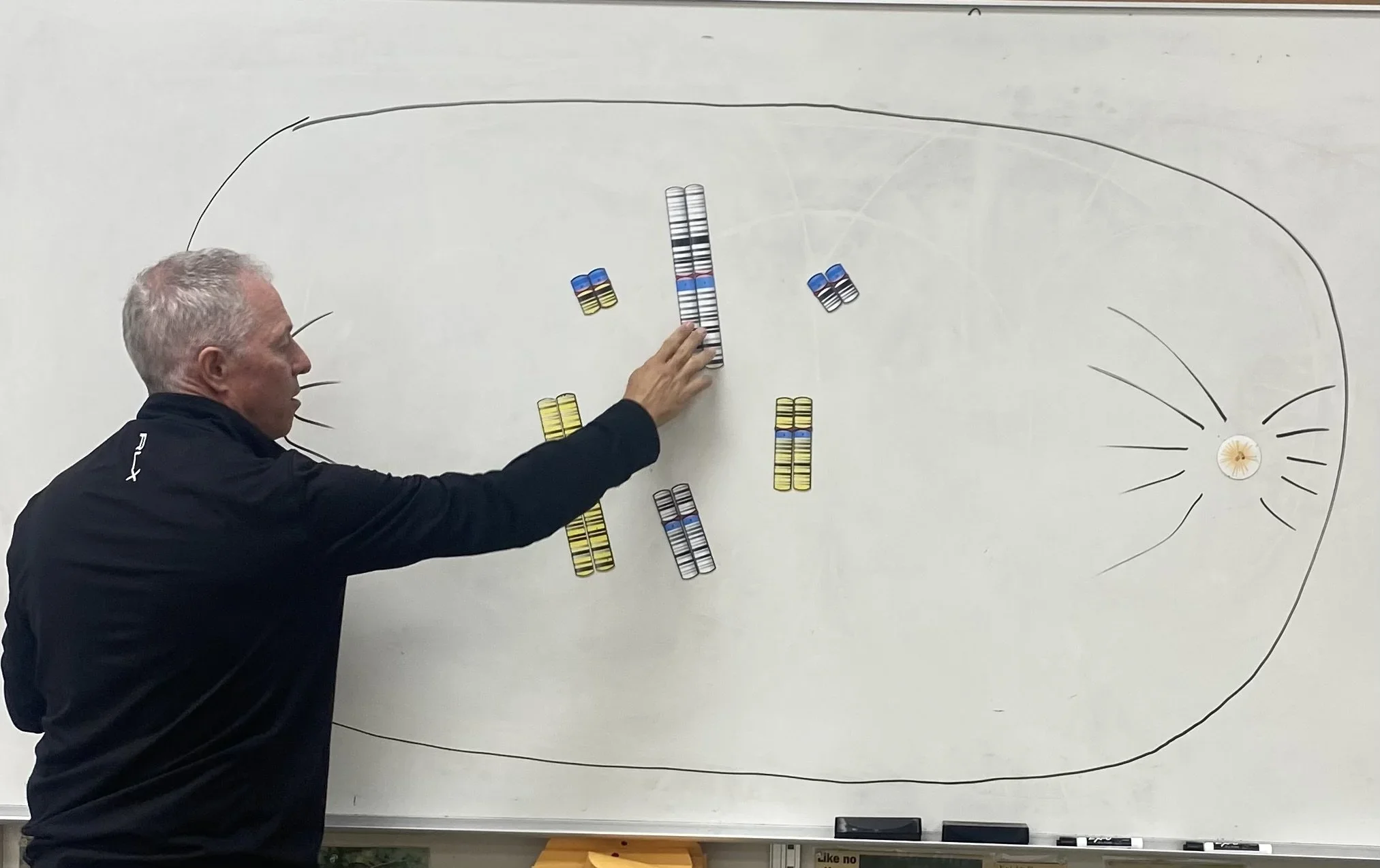 Teacher+Set+Photo (1).webp