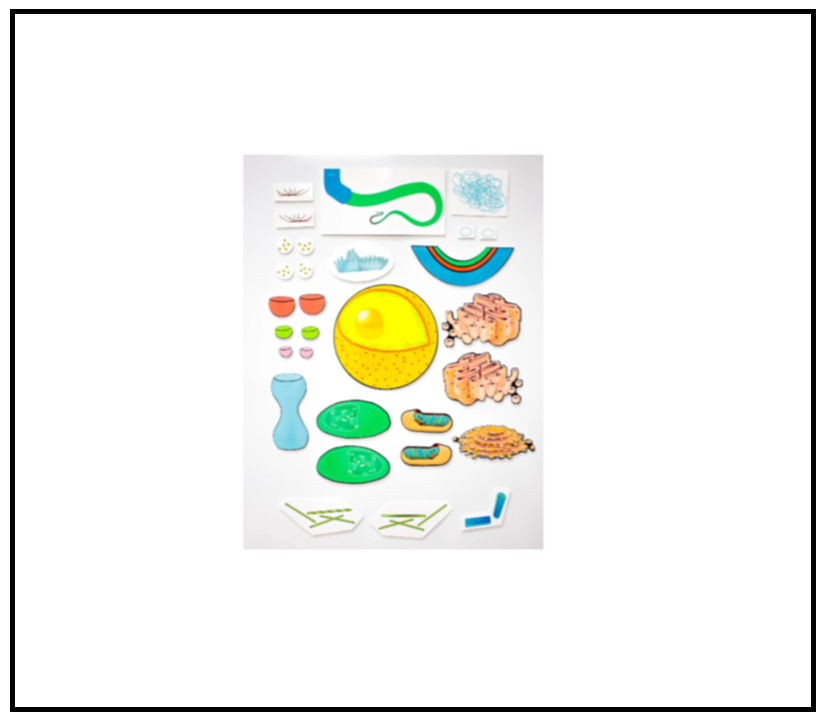 Screenshot 2026-01-25 174730.png