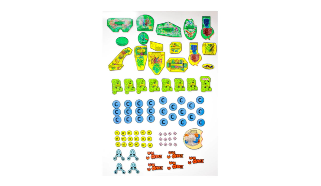 Screenshot 2026-01-25 133550.png