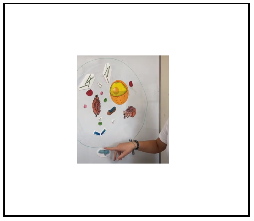 Screenshot 2026-01-25 174919.png