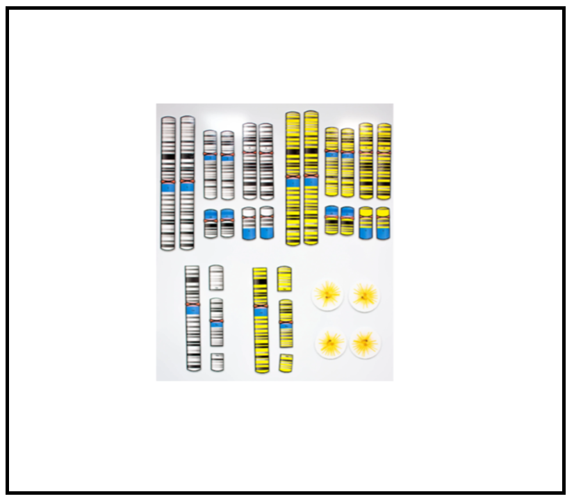 Screenshot 2026-01-25 162215.png