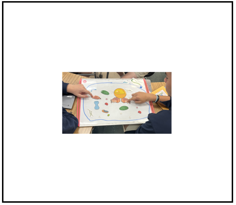 Screenshot 2026-01-25 175012.png