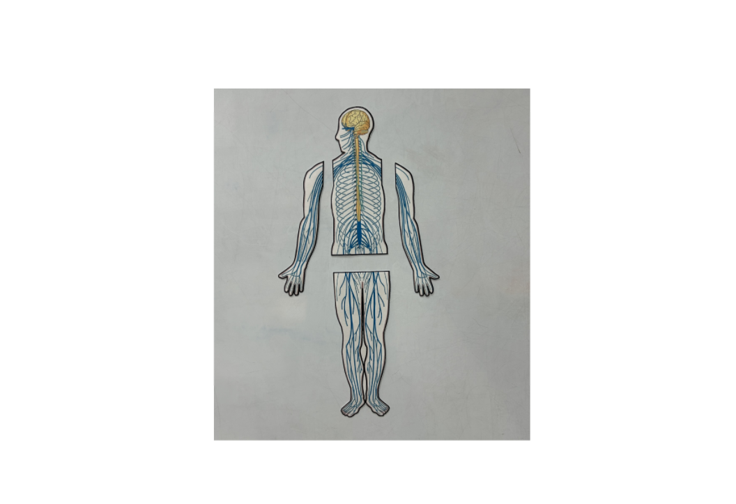 nervous teacher 2.png