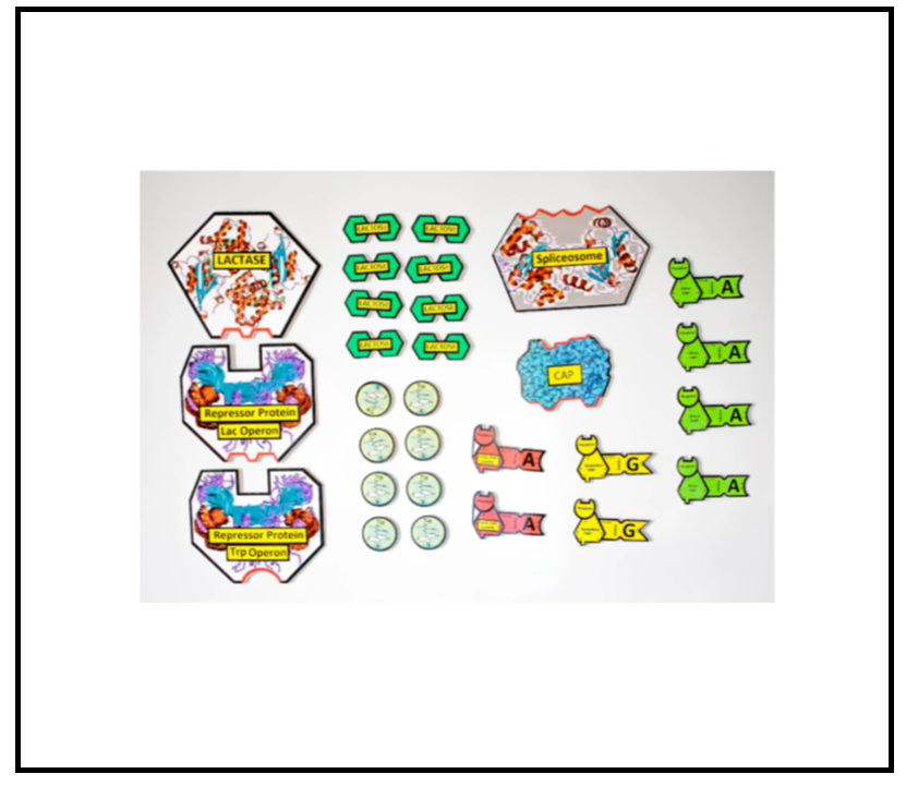 Screenshot 2026-01-25 155346.png