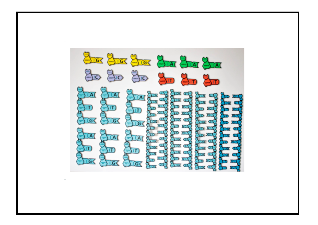 Screenshot 2026-01-25 154046.png