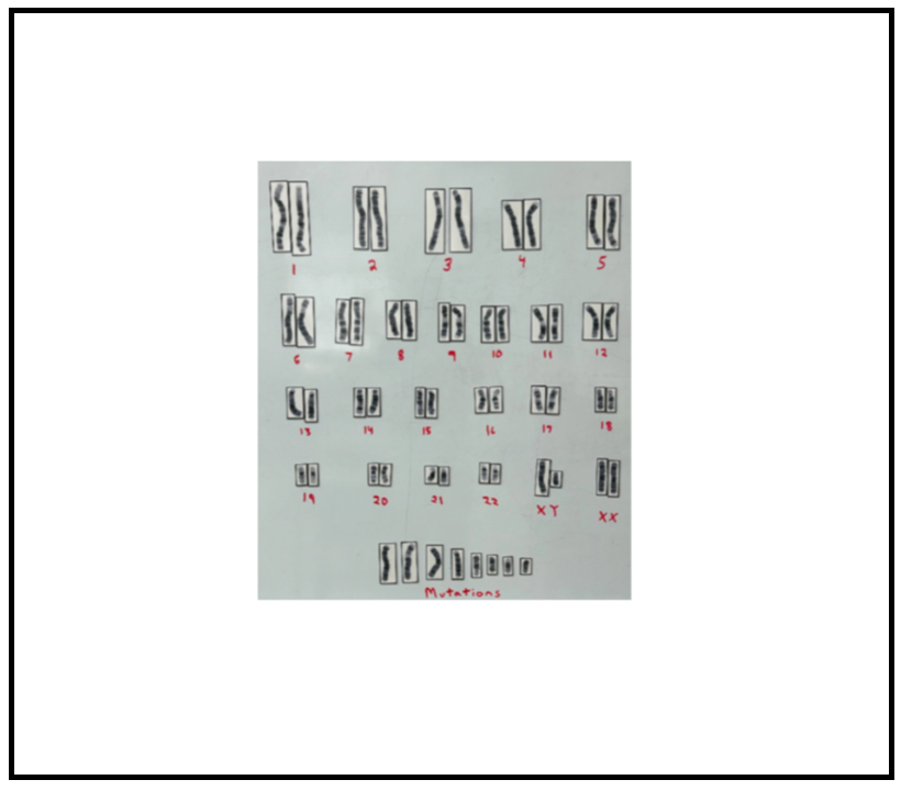 Screenshot 2026-01-25 160403.png