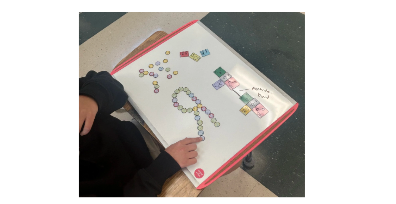 Screenshot 2026-01-25 123839.png