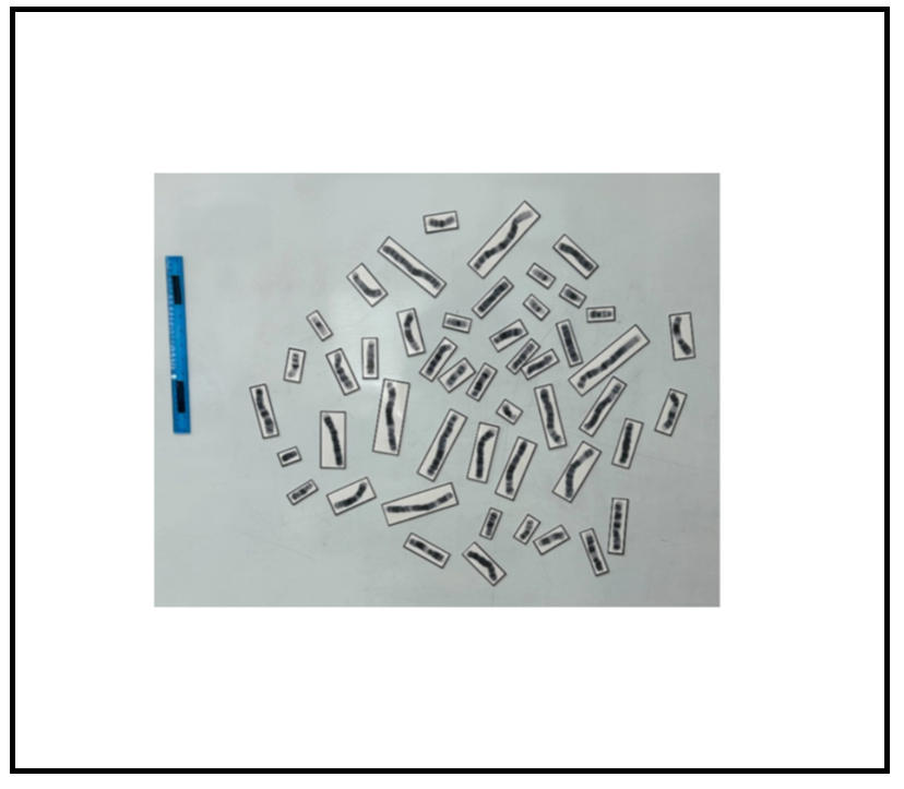 Screenshot 2026-01-25 160537.png