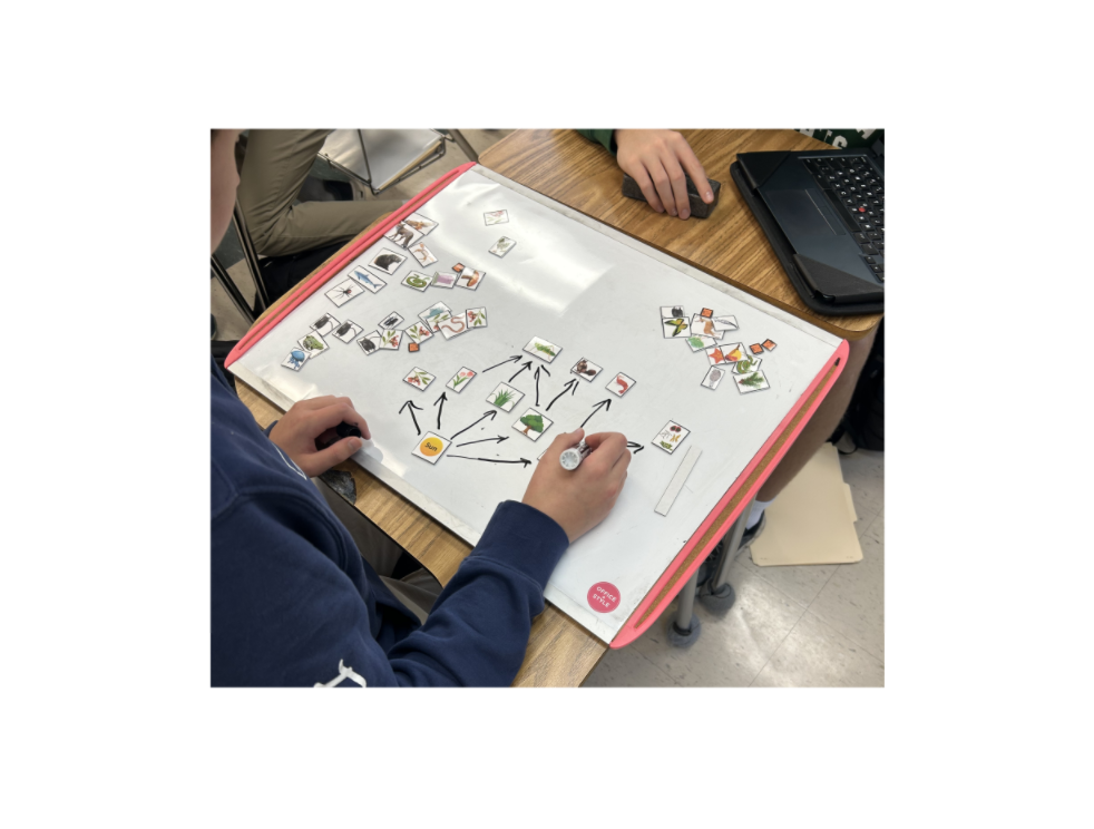 Module 9 Student 2.png