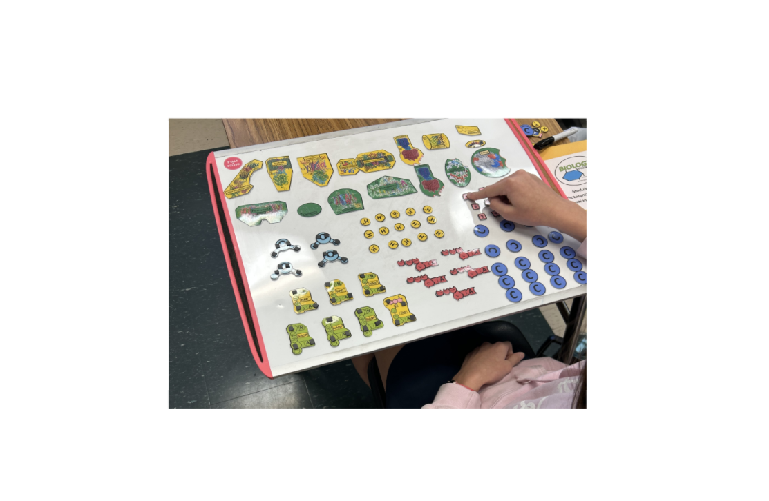 Module 3 student 2.png