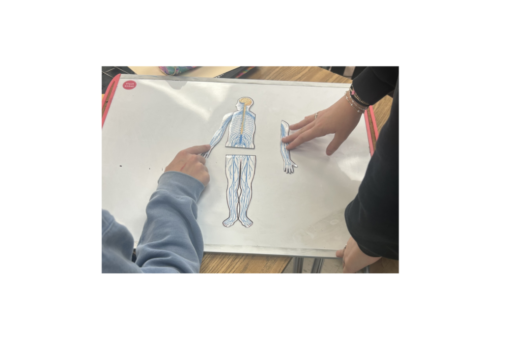 Nervous student 2.png