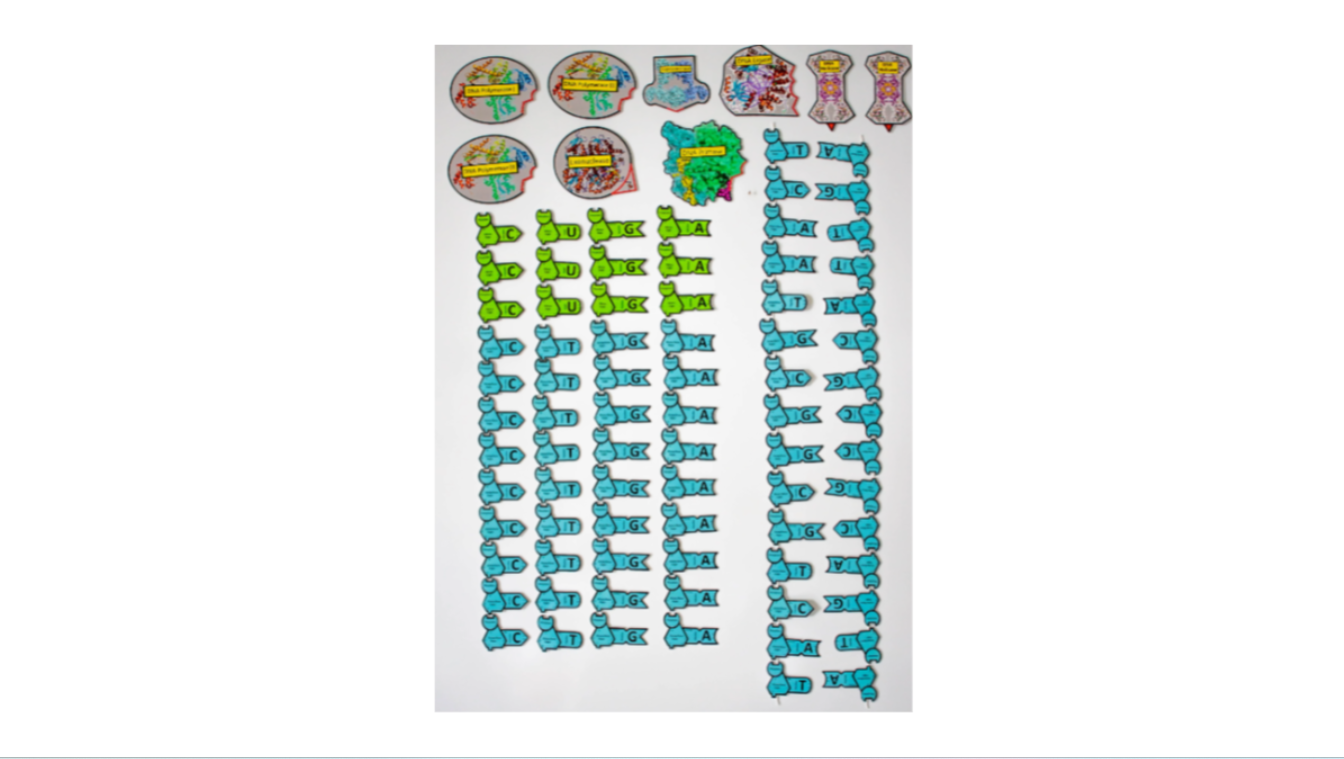 Screenshot 2026-01-25 135534.png