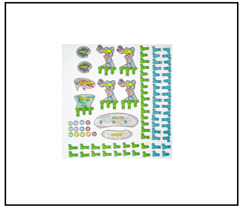 Screenshot 2026-01-25 155259.png