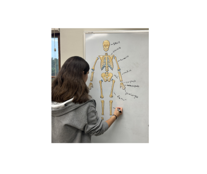 skeletal teacher 2.png