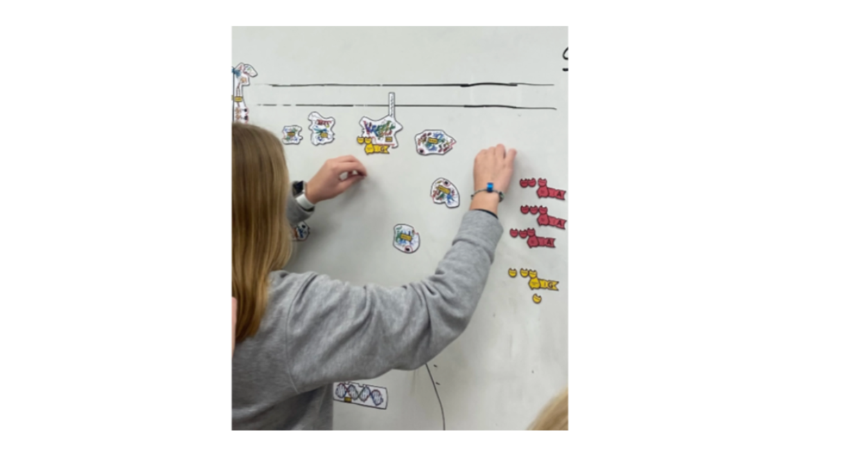 Screenshot 2026-01-25 132850.png