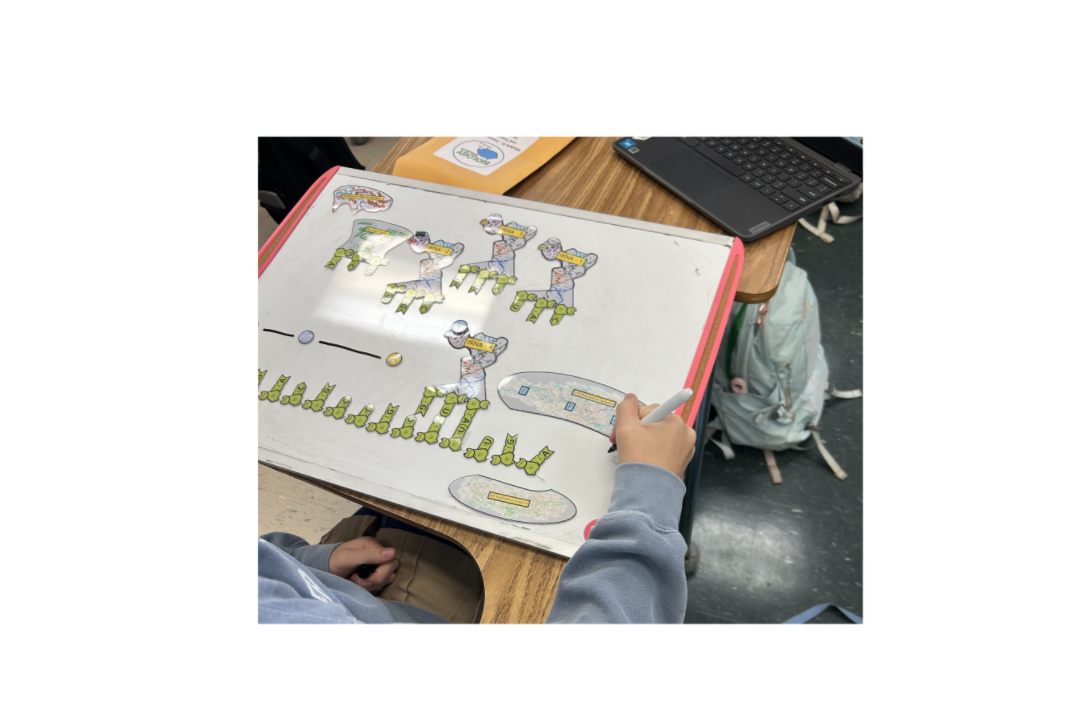 Module 6 Student 2.png