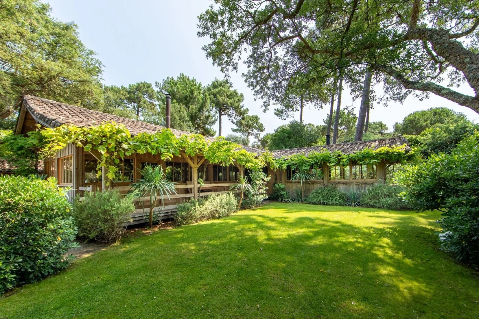 Maison en bois avec un toit en tuiles, entourée de végétation haute et d'arbres, avec un jardin verdoyant en premier plan.