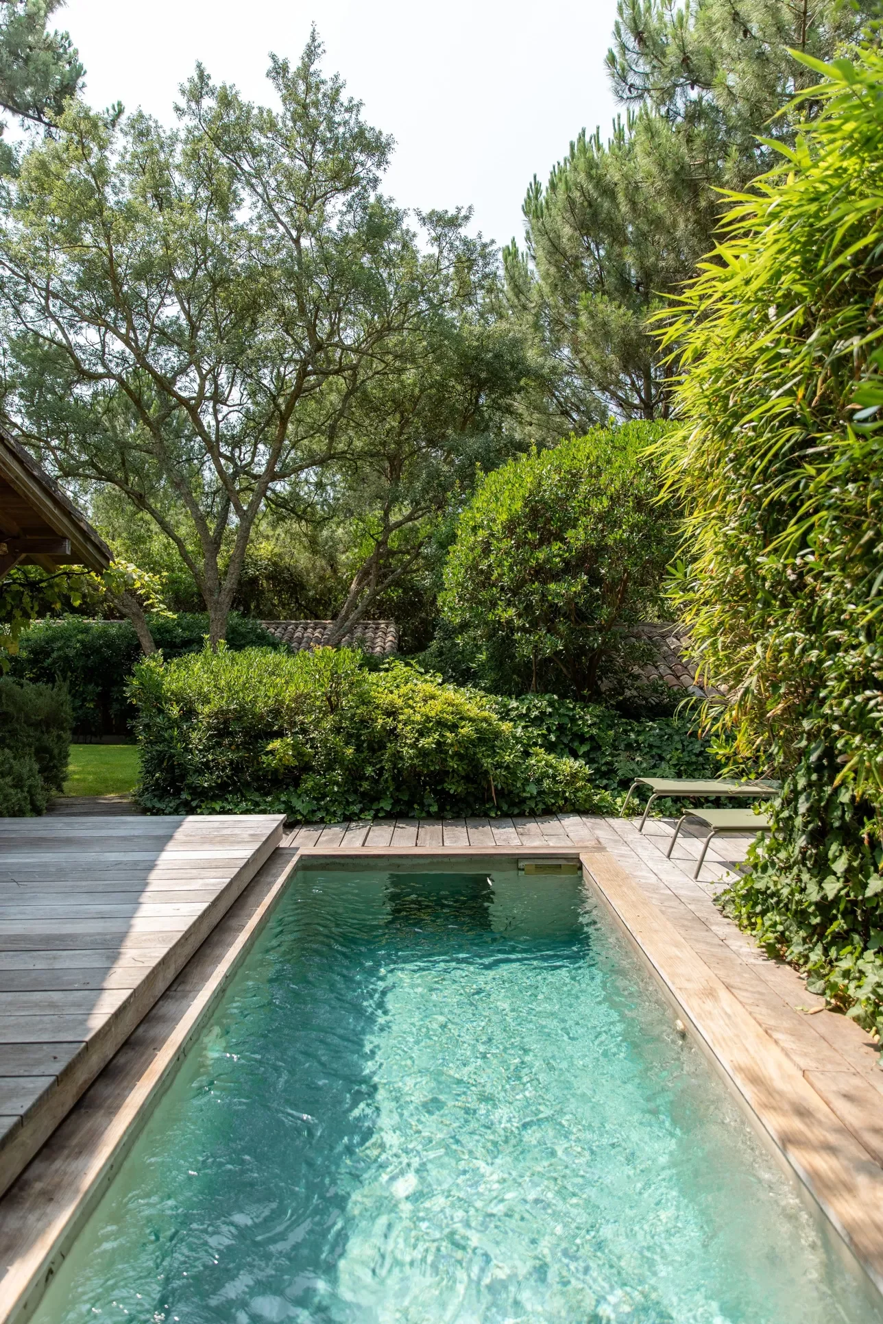Petite piscine dans un jardin verdoyant avec des chaises, entourée d'arbres et de buissons sous un ciel clair.
