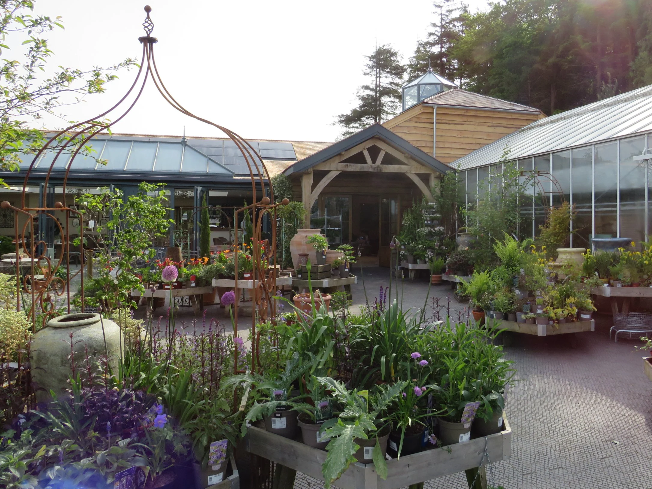 Duchy garden centre with plants and flowers in pots, greenhouses, and a small wooden shed. The area is sunny with trees in the background.