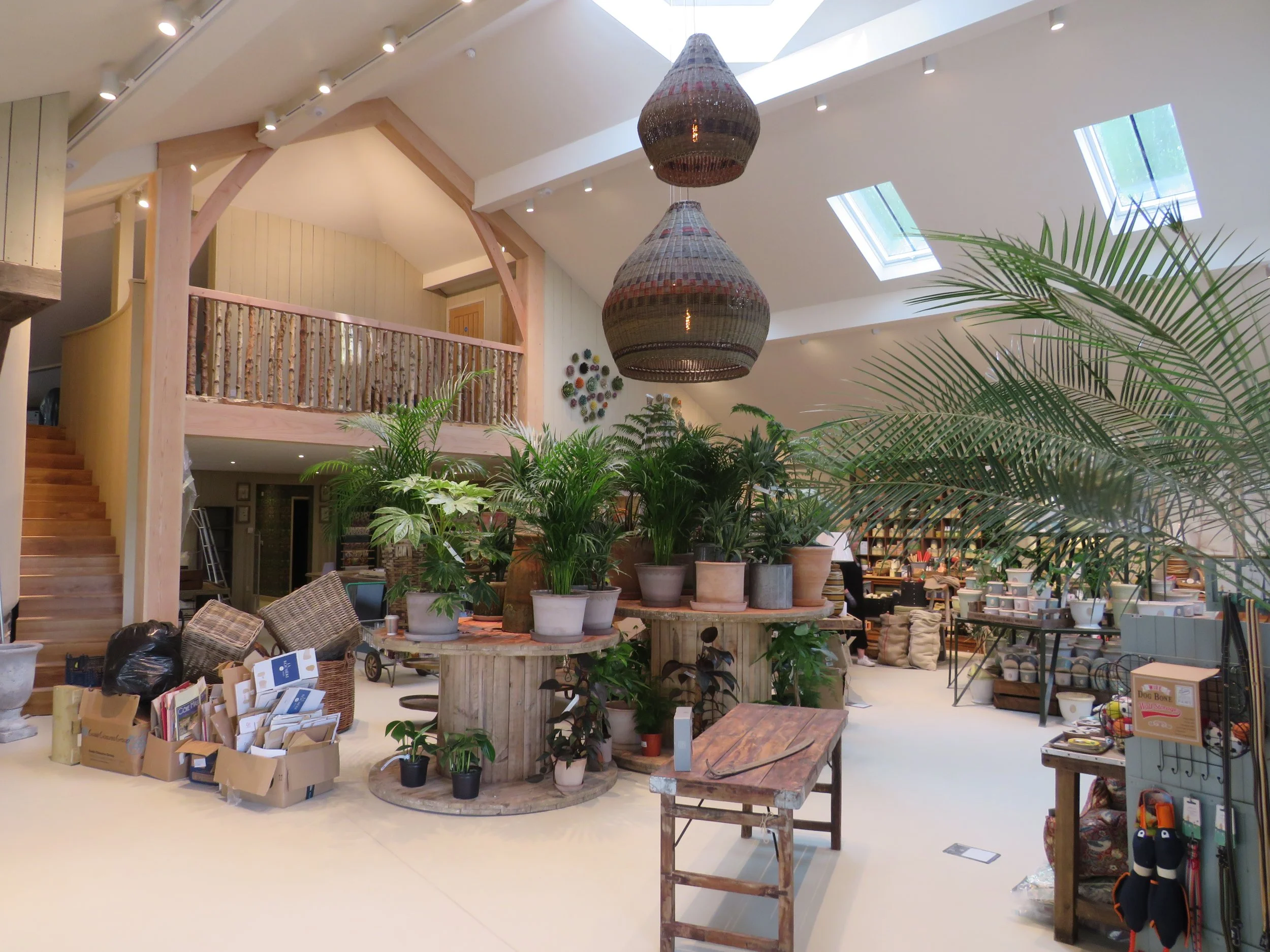 DUCHY NURSERY - CORNWALL