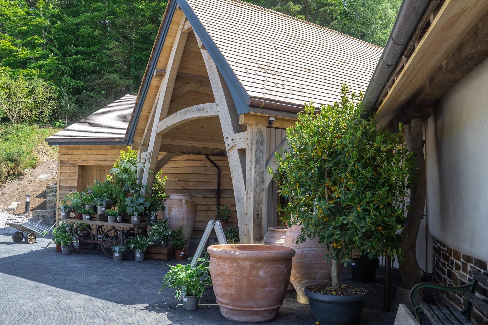 A garden area with potted plants, a wooden cart with more plants, large pots, a small tree in a pot, and a wooden building with a tiled roof surrounded by greenery.