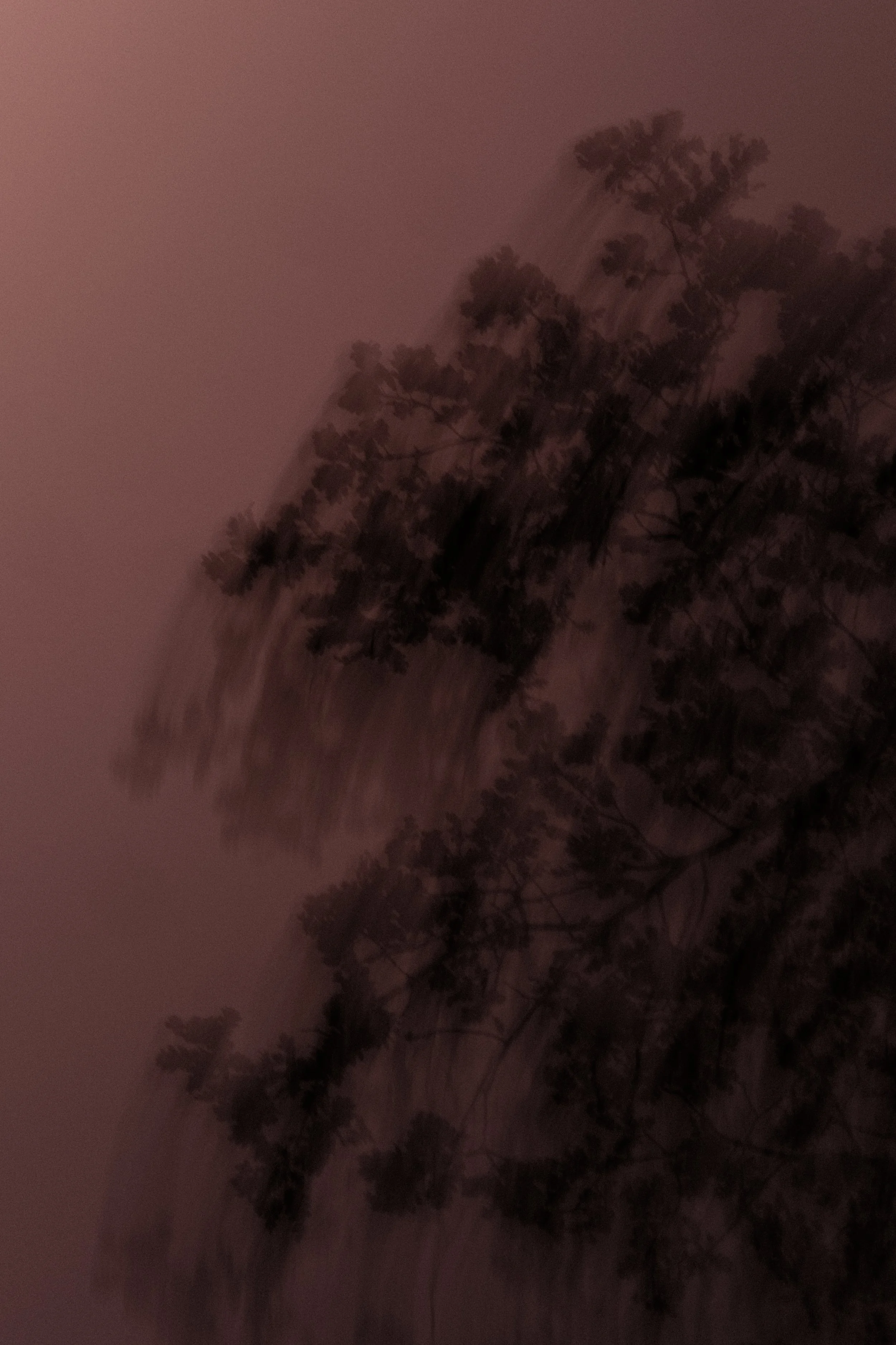 DSCF8354.jpeg