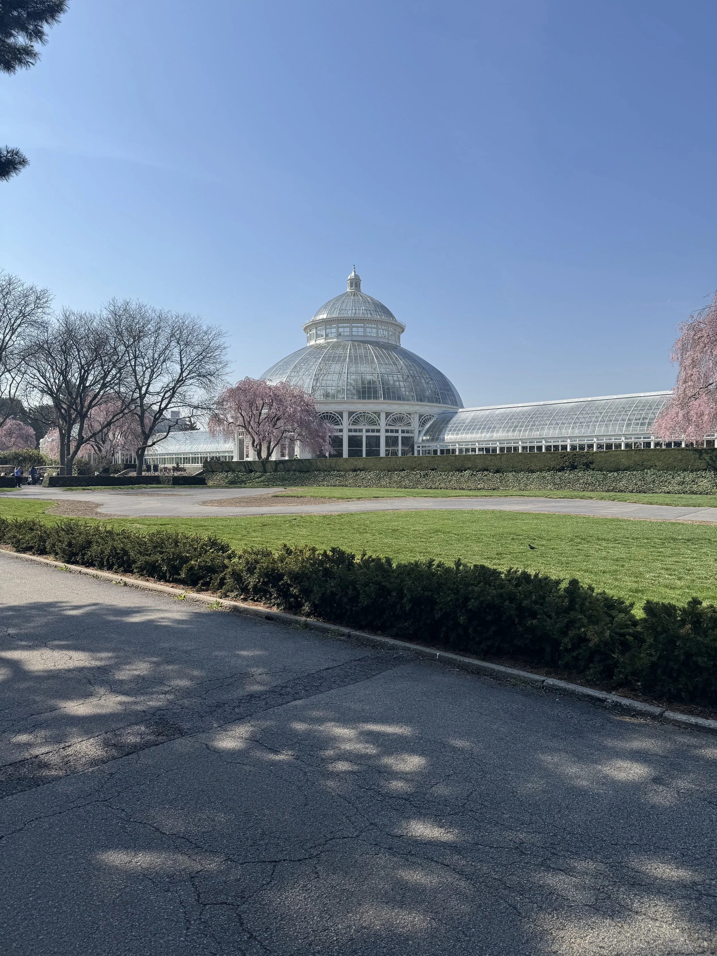 The New York Botanical Garden