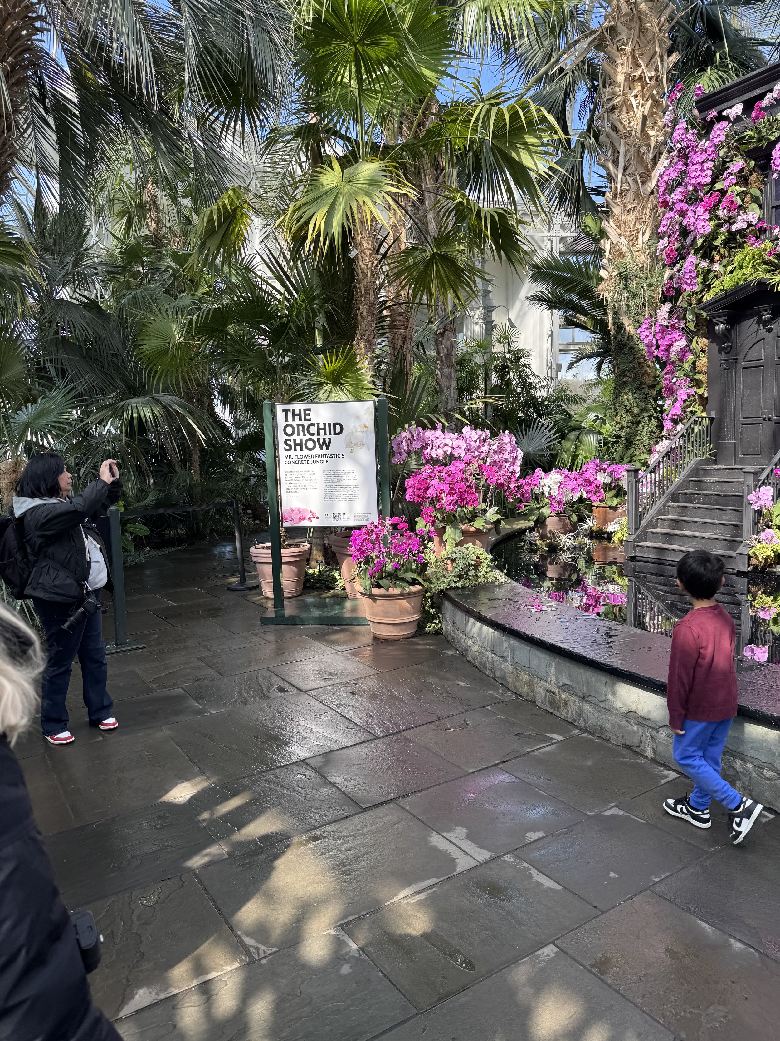 Mr. Flower Fantastic's Concrete Jungle