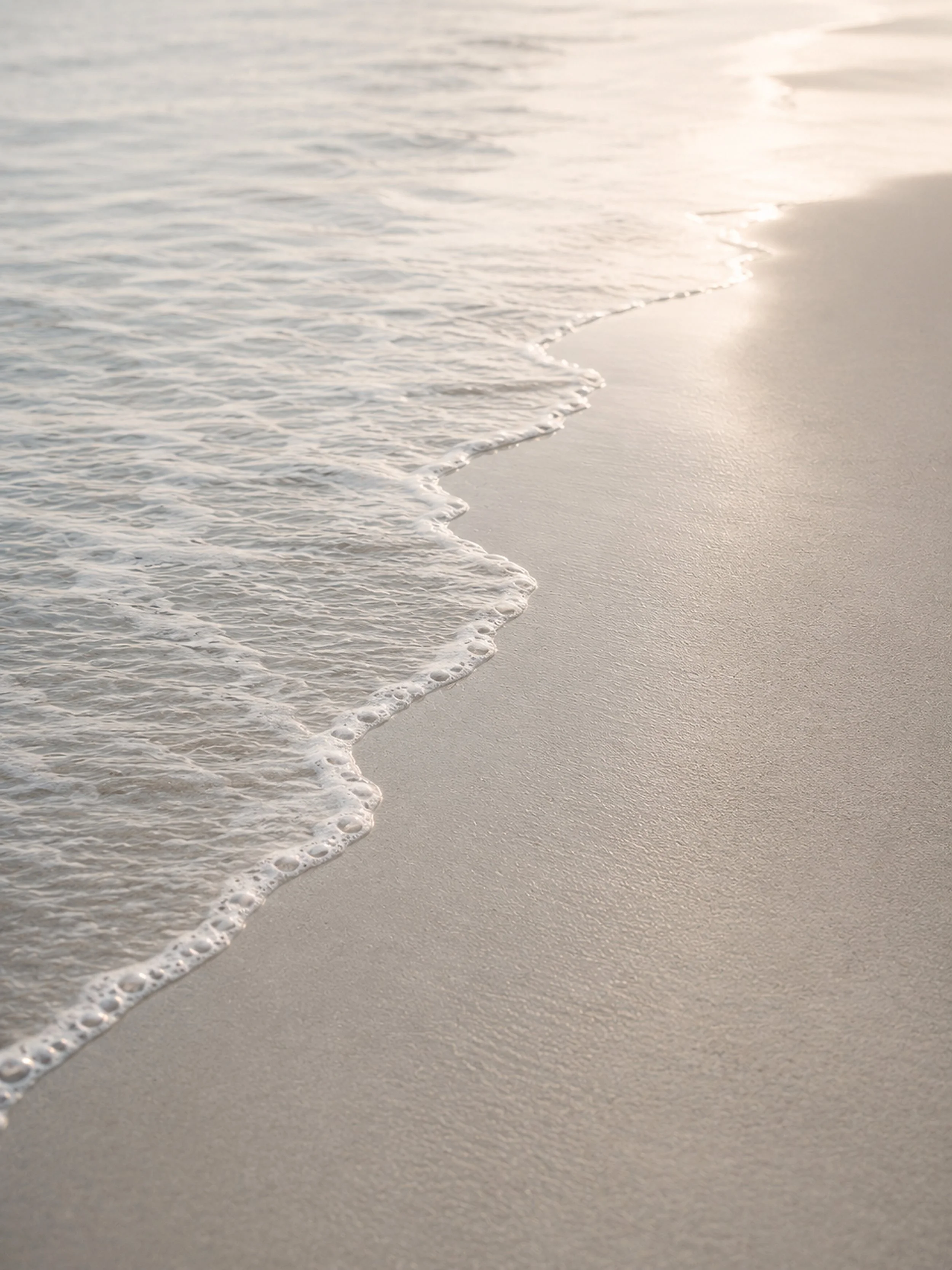 Dune_Light-001_300DPI_HiRes.jpg