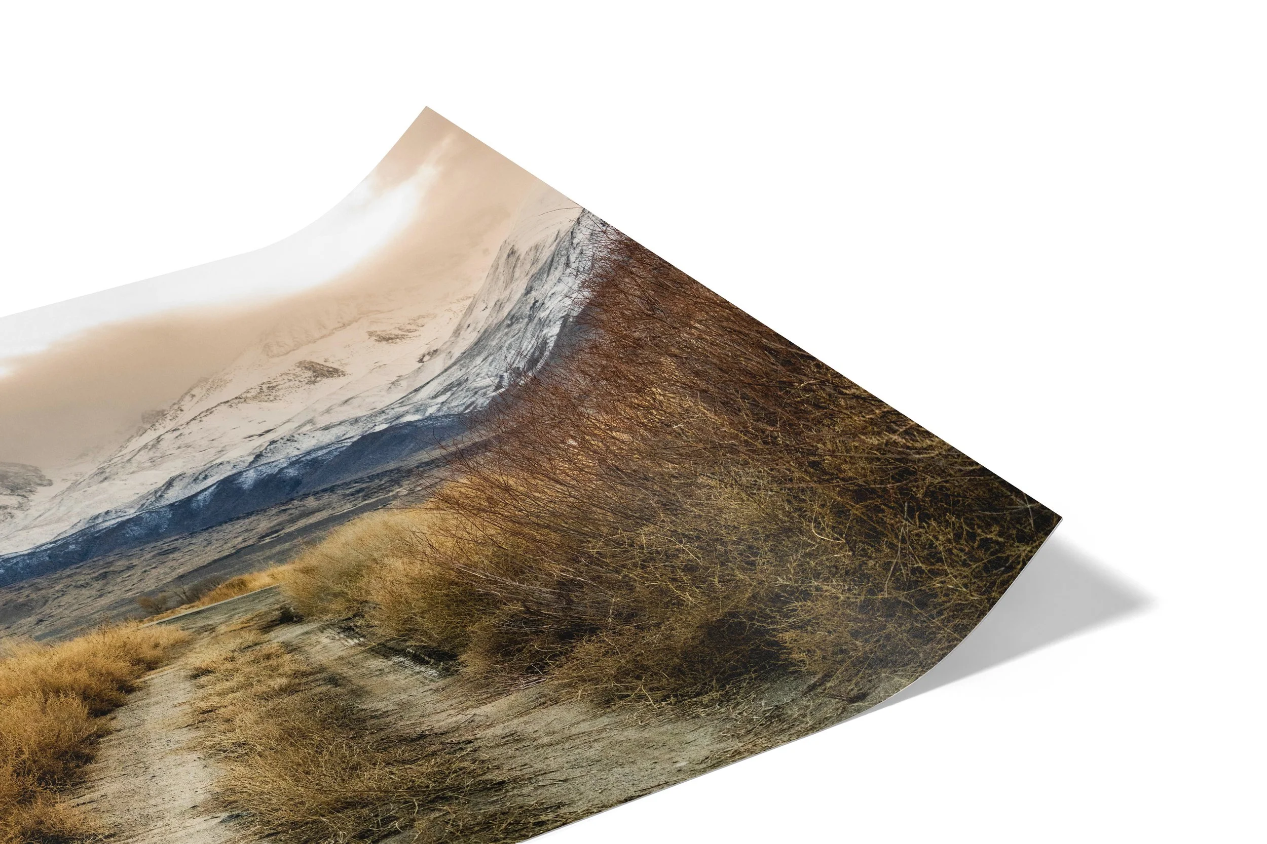 Off Route Print 1.jpg