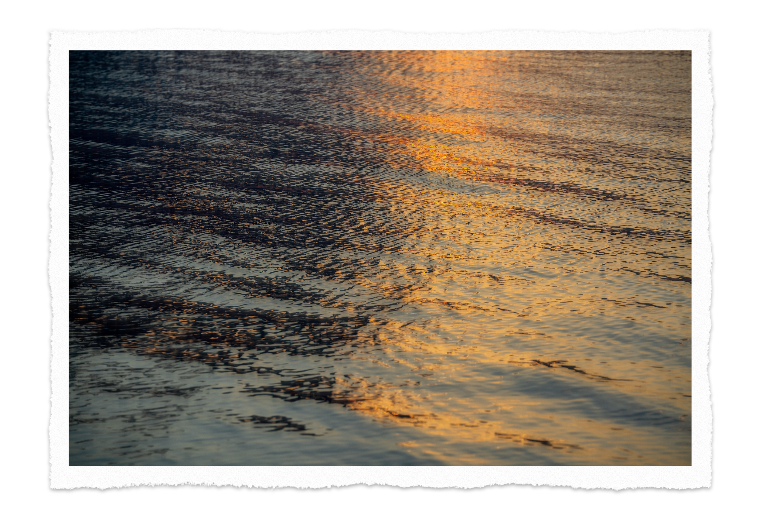 border-rag-honey-baby-golden-hour-water-photography-print.png