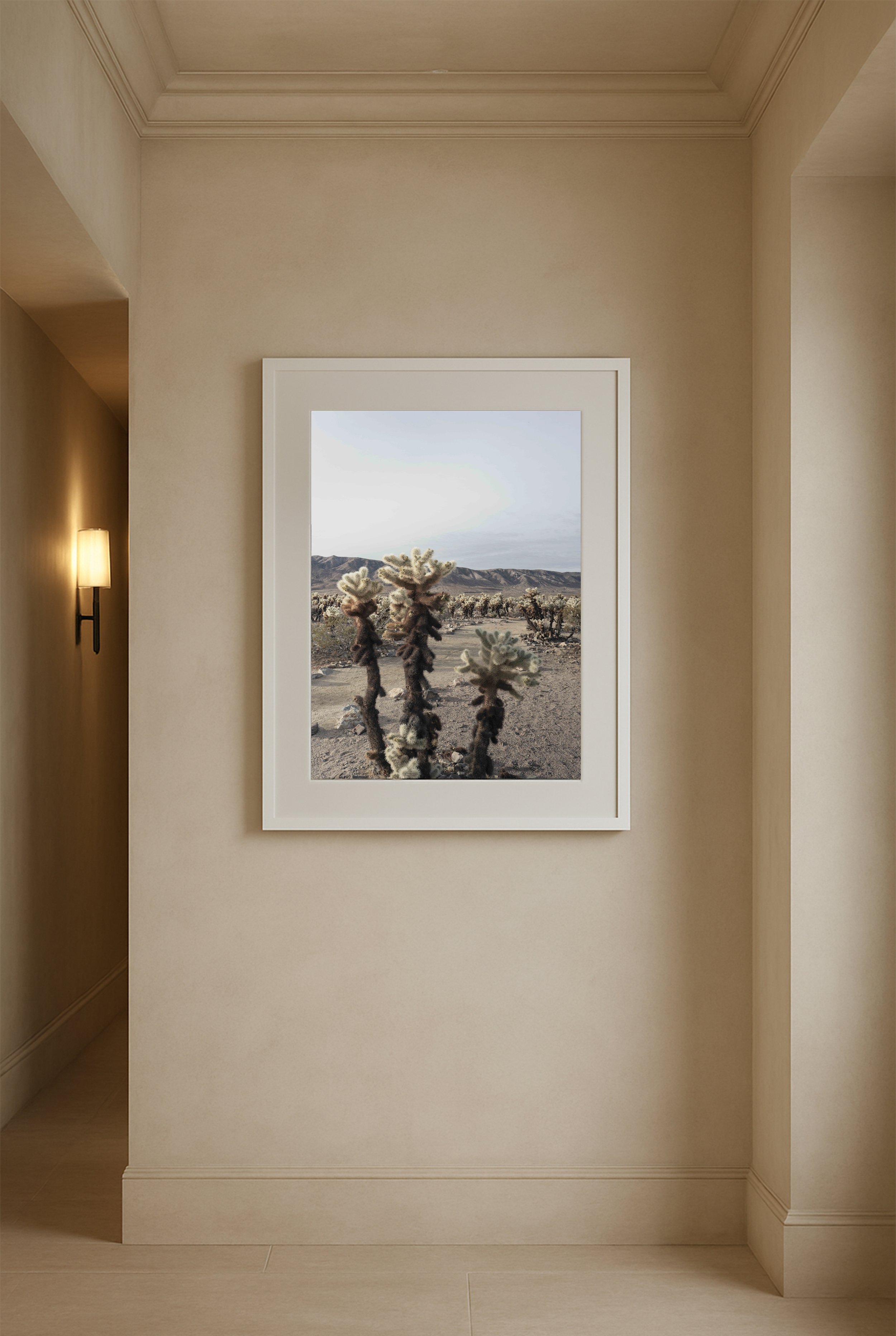 cholla-desert-Joshua-tree-fine-art-print-modern-desert-decor.jpg