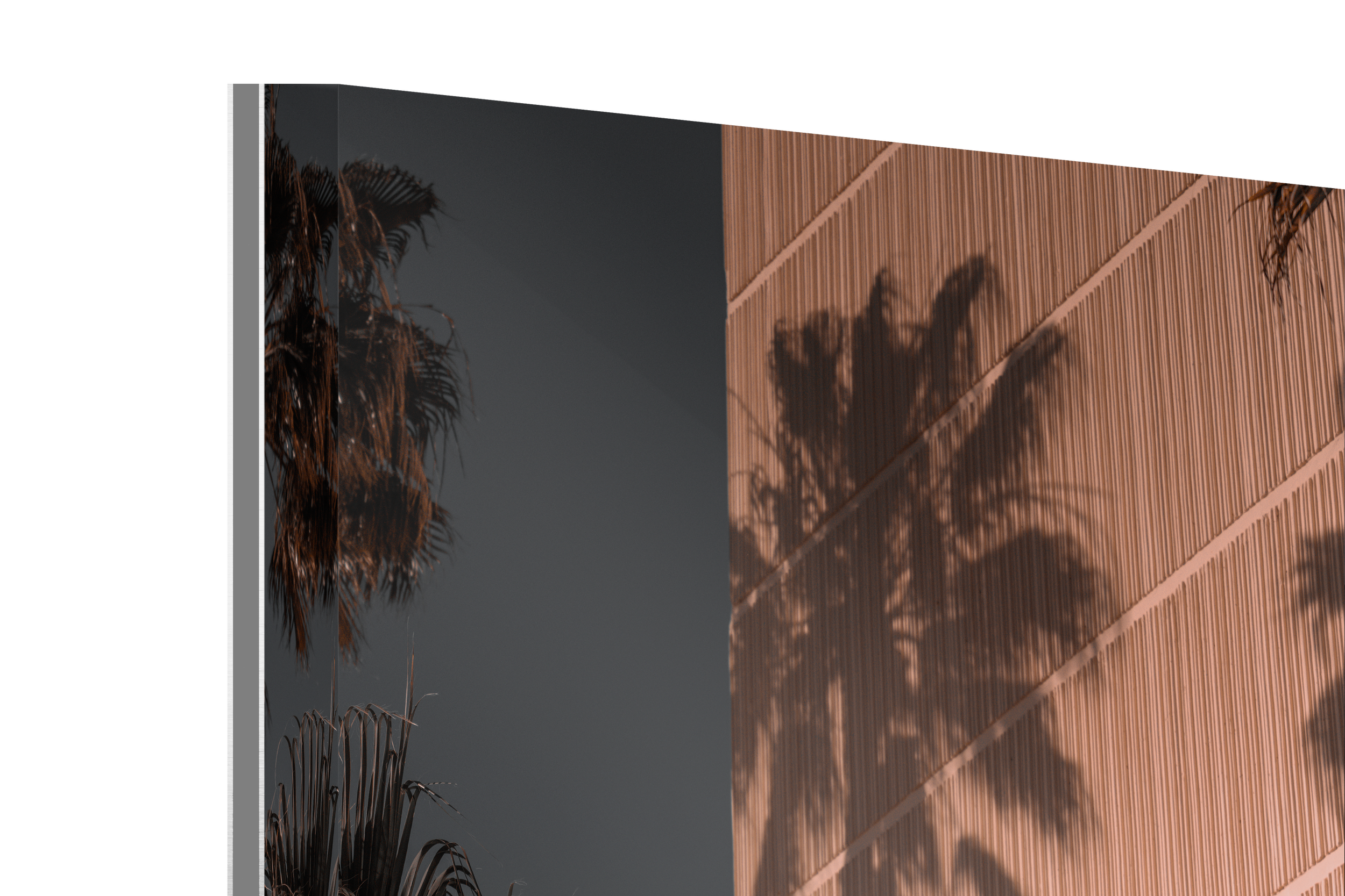 Acrylic - Retro Palms.png