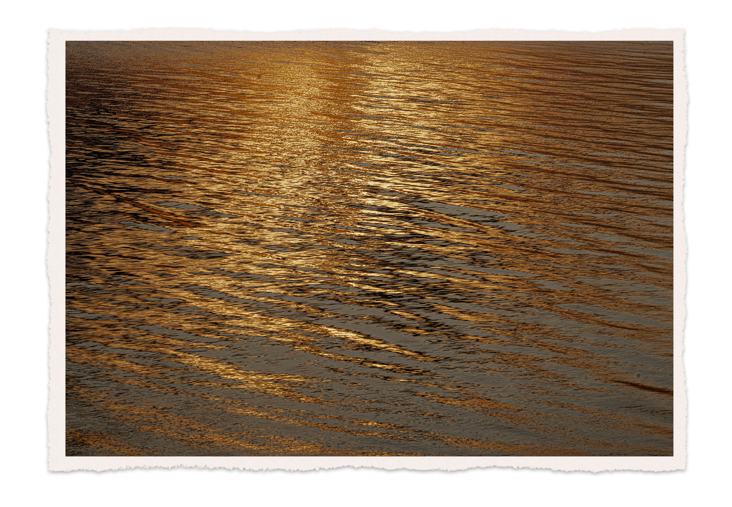 Sunlight reflecting off calm water, creating a golden glow on the rippling surface.