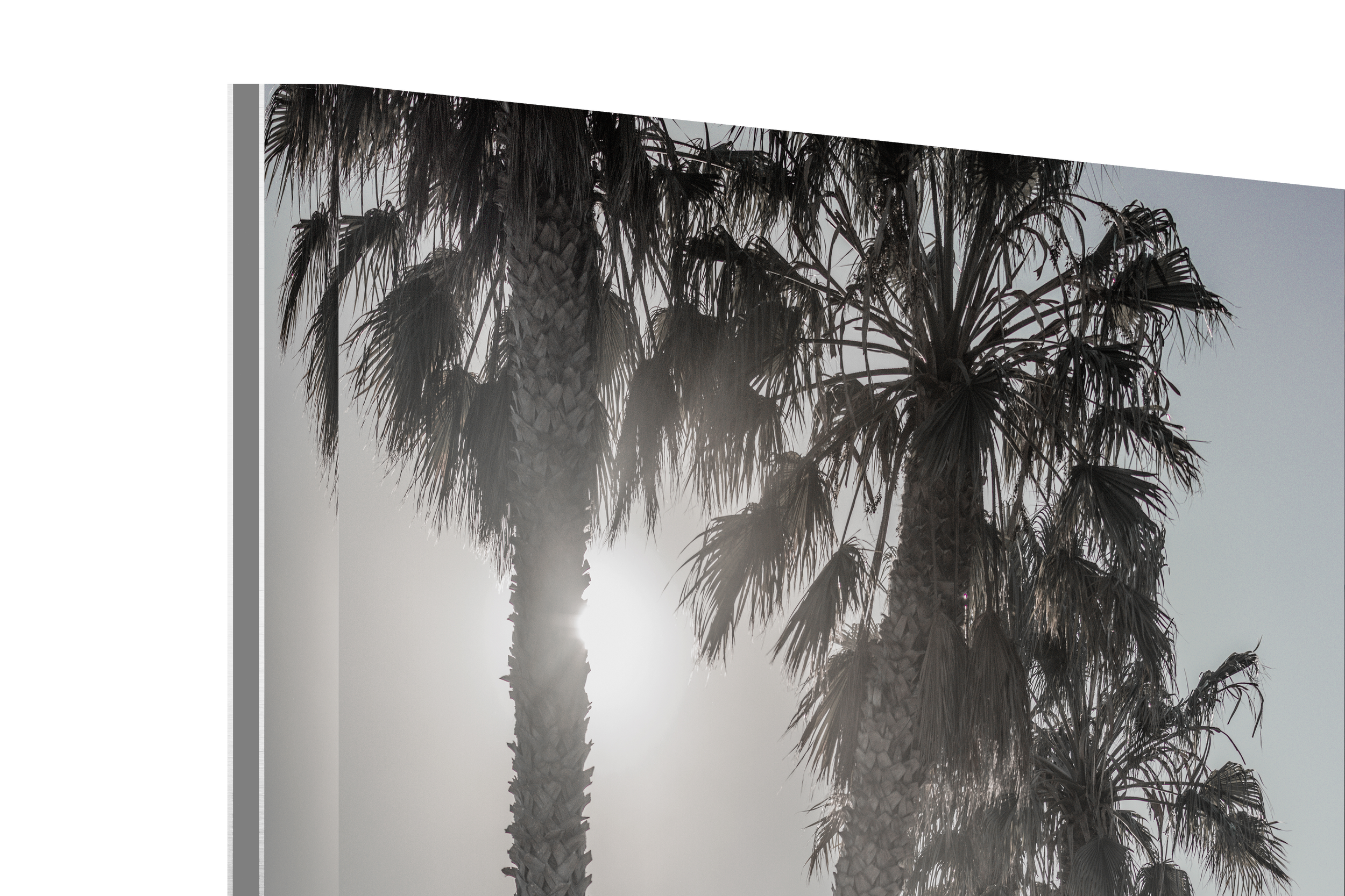 Out Past LA-acrylic.png