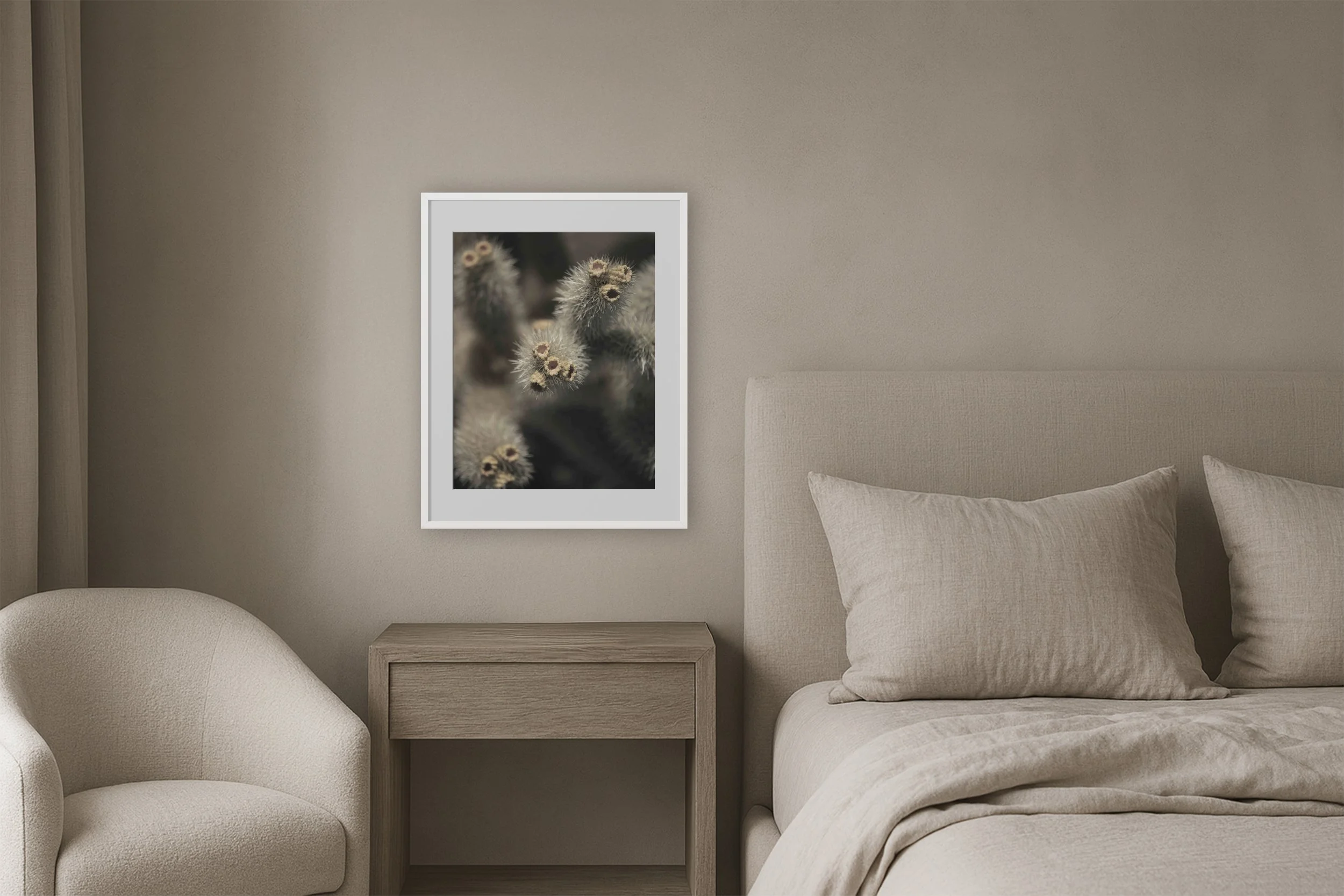 Cholla Solo | White Frame Exclusive Edition