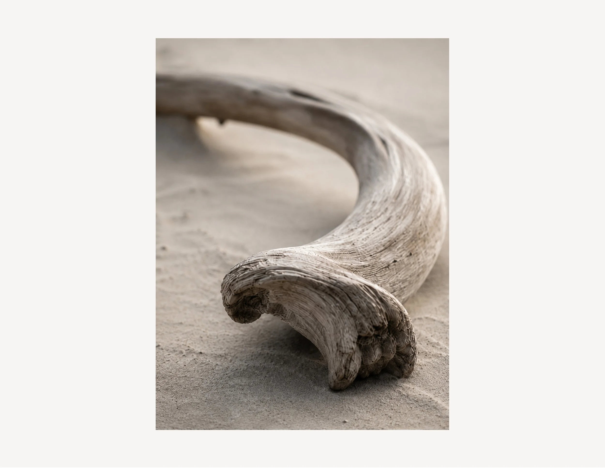 Driftline-001_crop.jpg