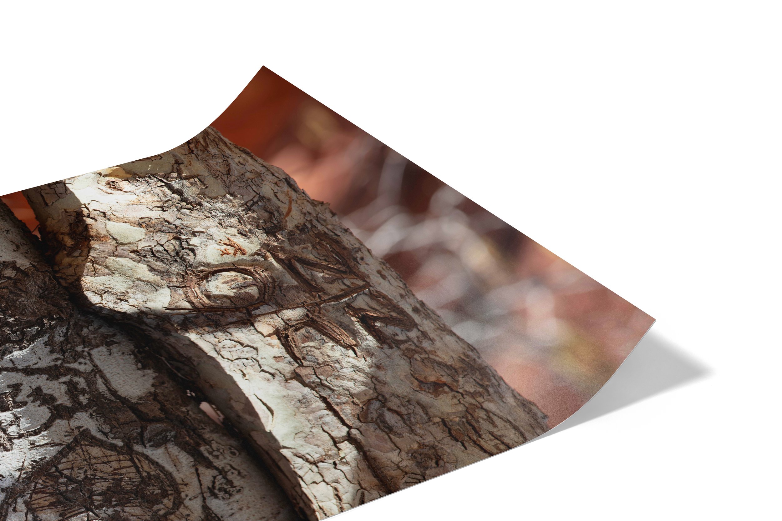 Love Tree Print 2.jpg