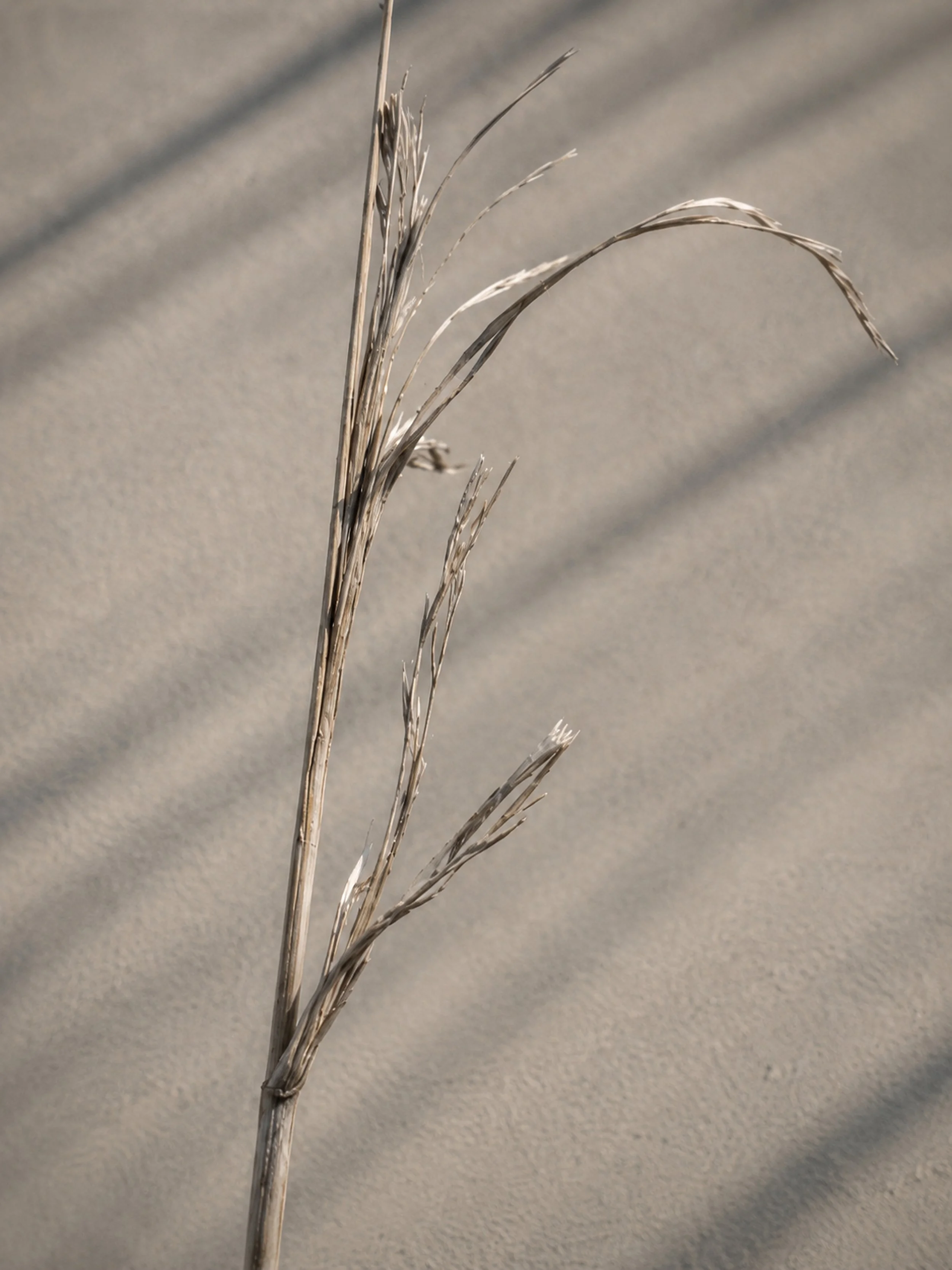 Driftline-002_300DPI_HiRes.jpg