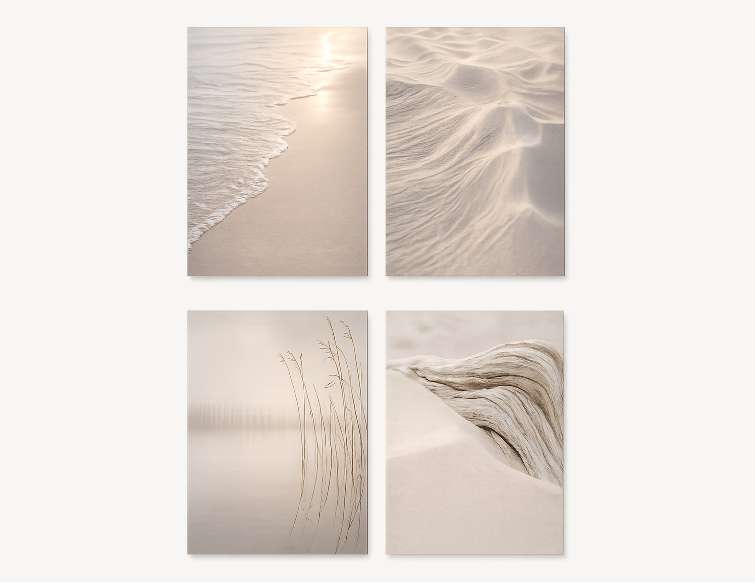 Dune & Light-crop.jpg