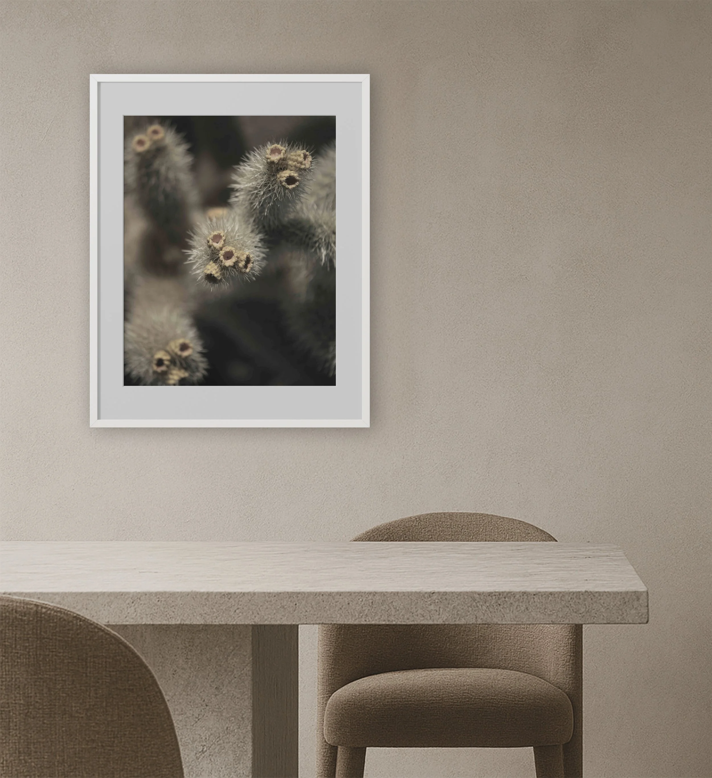 cholla-close-up-macro-wall-art-modern-loft.jpg