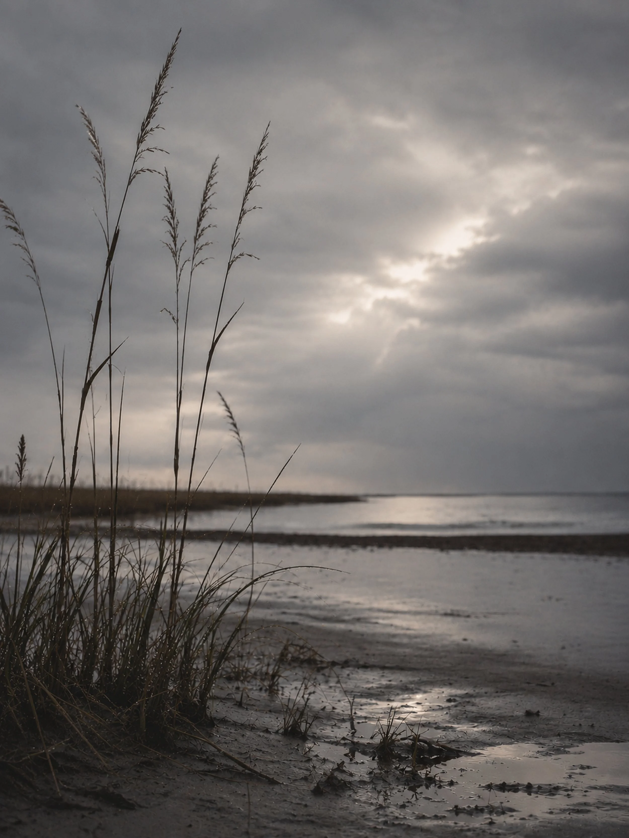 Wet Sand Sky | Storm Tide No. 4