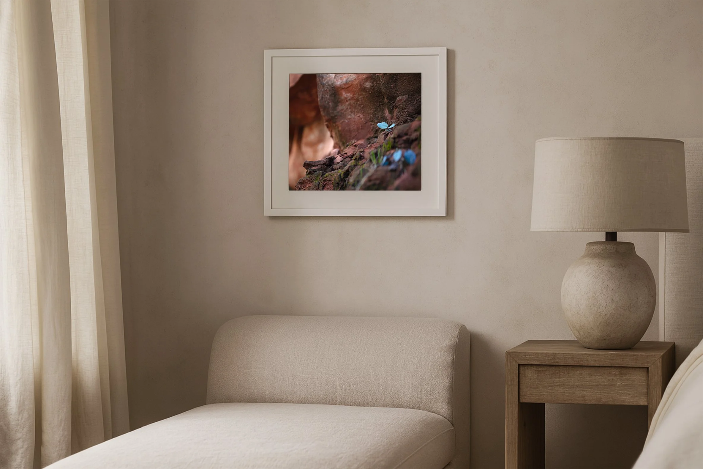 Blue Butterfly (18x12) | White-Frame Exclusive Edition
