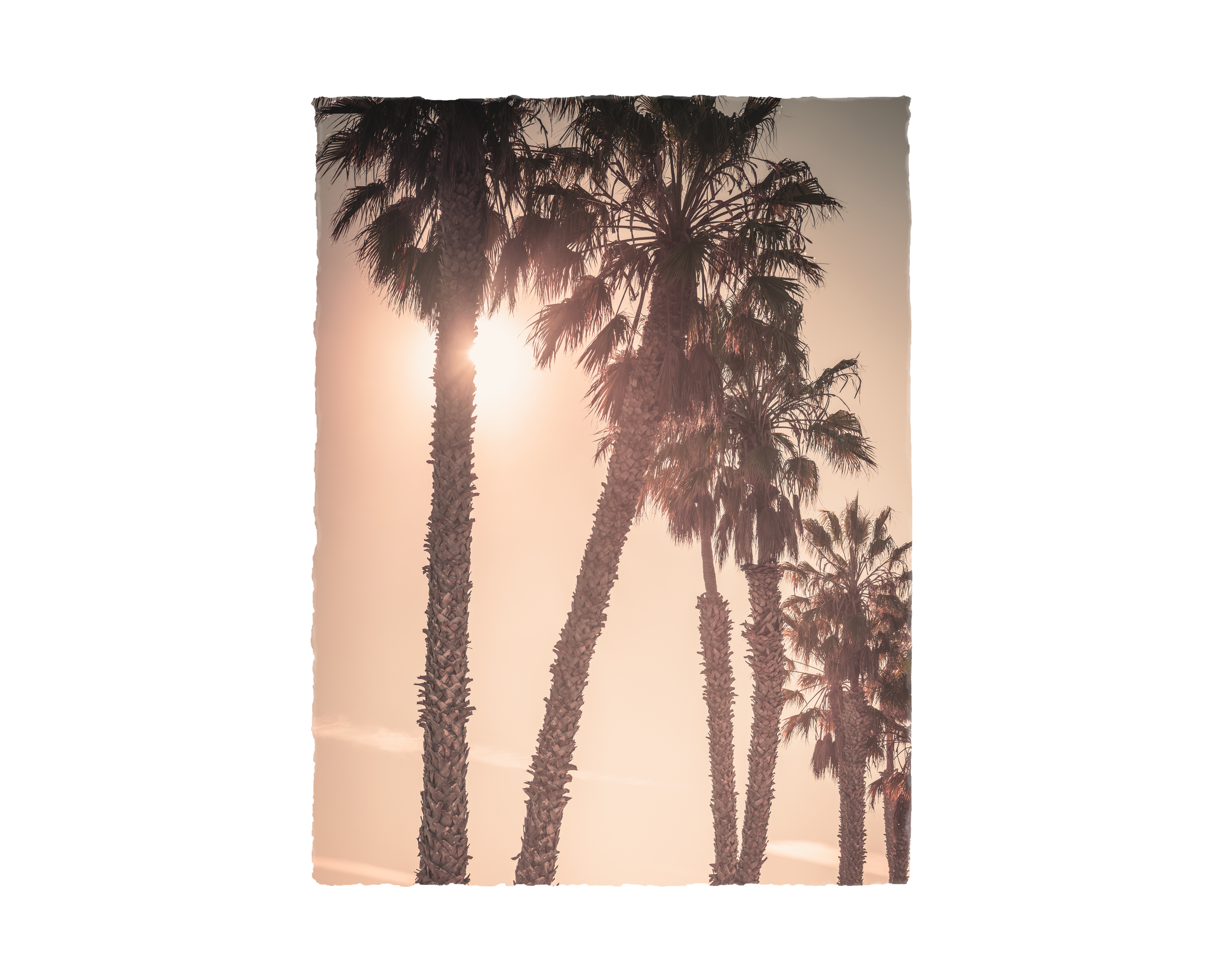 rag-Such A Lovely Place.png