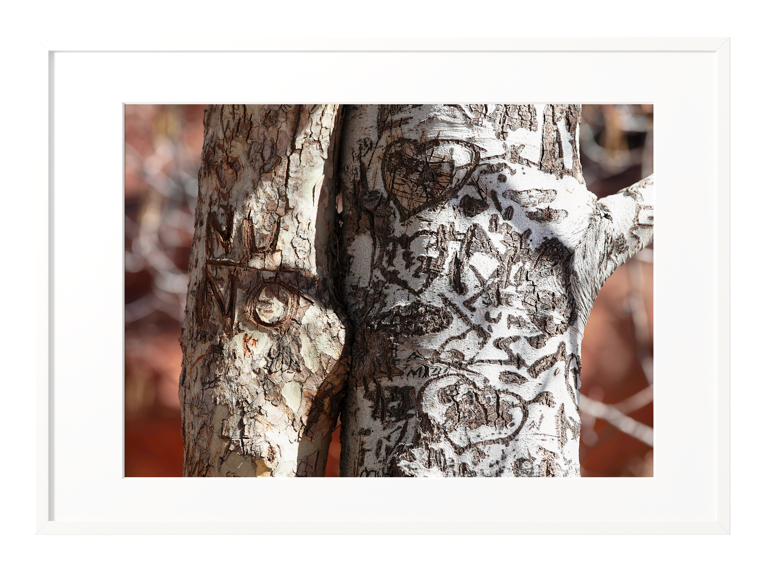 LOVE TREE White Frame.png