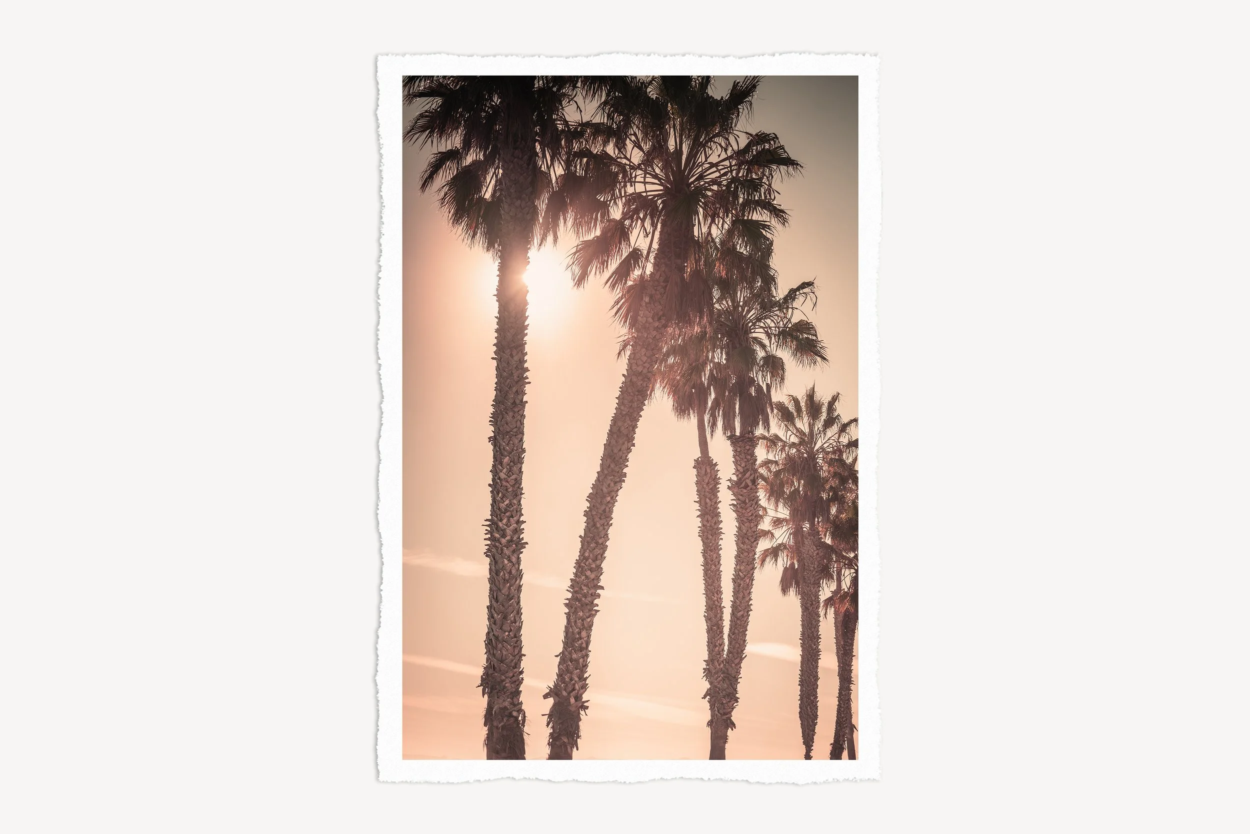 border-rag-Such A Lovely Place-crop.jpg